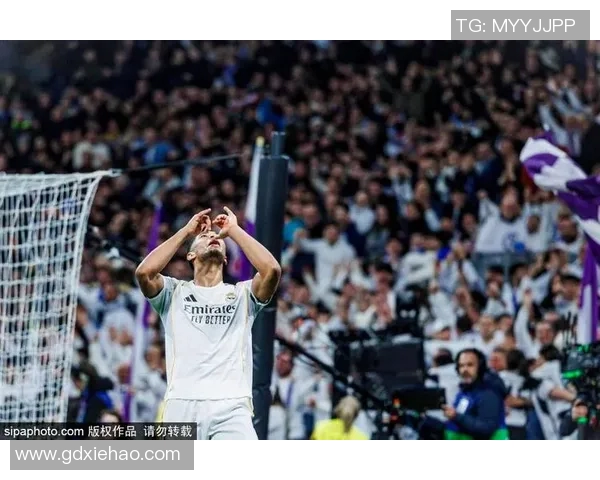 巴列卡诺主场迎战皇马双方争夺西甲积分宝贵之战